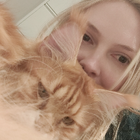 Profilbild für Johanna G