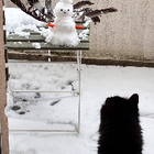 Profilbild für Aubrey S