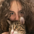 Profilbild für Gunel K
