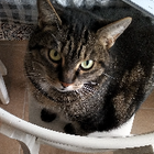 Profilbild für Marika C