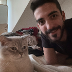 Profilbild für Morris (Moe) W