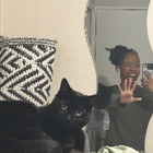 Avatar pour Nasrine S