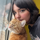 Profilbild für Mitra A