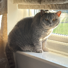 Avatar for Beverley S