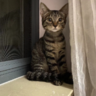 Profielfoto voor Poppy X