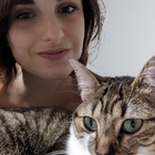 Avatar pour Pauline B