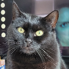 Profilbild für Zully G