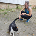 Profilbild für Diana L