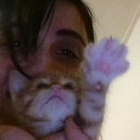 Profielfoto voor Alessia D