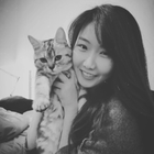 Profilbild für Xueying H