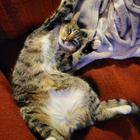 Profilbild für Madeleine B