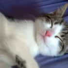 Profilbild für Vanessa M