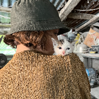 Profilbild für Betülay K