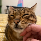 Avatar for Ezekiel B