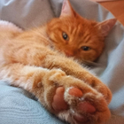 Profilbild für Noa W