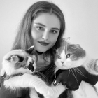 Avatar pour Aysima K