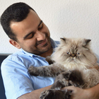 Profielfoto voor Pej P