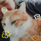 Avatar for Clarice L