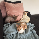 Profilbild für Katha M