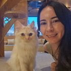 Profilbild für Burçin Ç