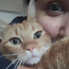 Profilbild für Valentina V