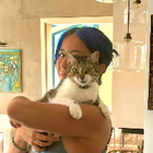 Profilbild für Güneş C