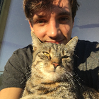 Profilbild für Dominik R