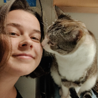 Profilbild für Jule A