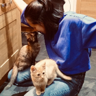 Avatar for Vanessa H