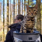 Profilbild für Verena V