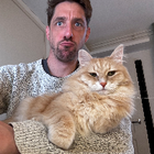 Profielfoto voor Mirko d