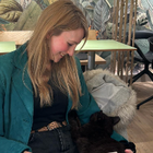Profilbild für Carmen V
