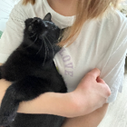 Profilbild für Hanna L
