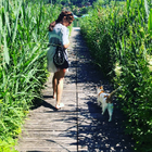 Profilbild für Nicole N