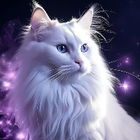 Avatar for Abhijeet p