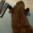 Avatar for Michaela (Mickey) C