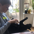 Profielfoto voor Wessel t