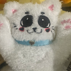 Avatar for Him Chin W