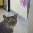 Avatar for Yuxuan (Jennifer) F