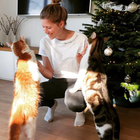 Profilbild für Verena P