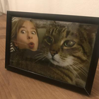 Profilbild für Sonja L