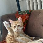 Avatar pour Émilie&Sofiane L