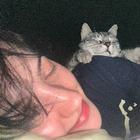Profilbild für Anastasiya V