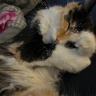 Profilbild für Julia W