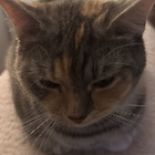 Profilbild für Helena B