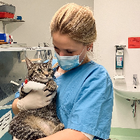 Profilbild für Celina K