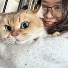 Profilbild für Tina X