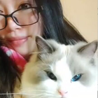 Profilbild für Xinyi C