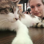 Profilbild für Julia W