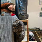 Profilbild für Tabea L